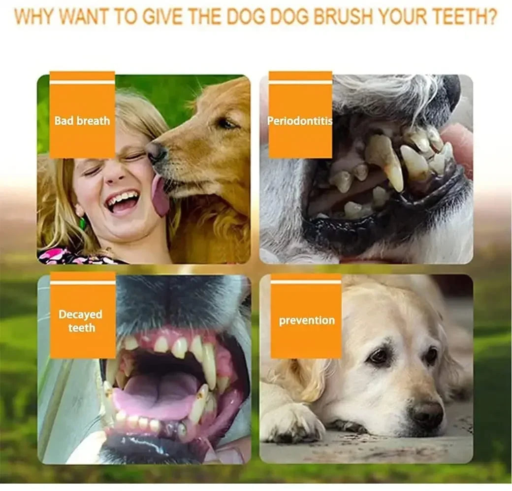 FUR SMILE soft dental finger brush